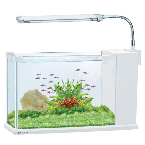 Set acvariu alb si lampa led 6 L 34.5 X 12 X 31.5 cm