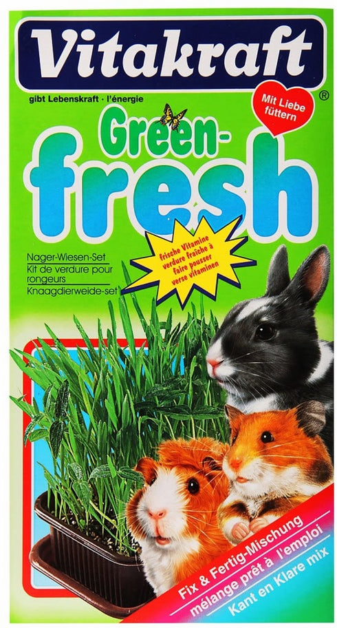 Iarba Proaspata pentru Rozatoare Vitakraft 120g