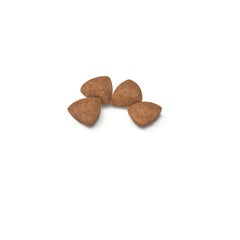 Hrana uscata pentru caini Royal Canin X-Small Junior 1.5 kg - Animax