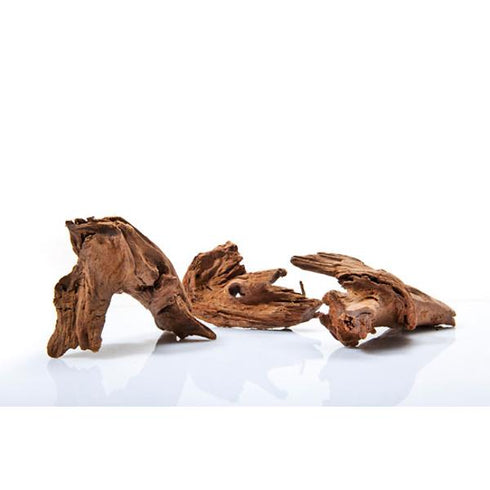 Radacina JBL Yati Wood M