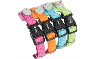 Zgarda pentru caini Zolux Macleather orange 10mm