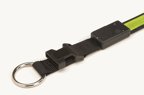 Zgarda cu led pentru caini Beeztees