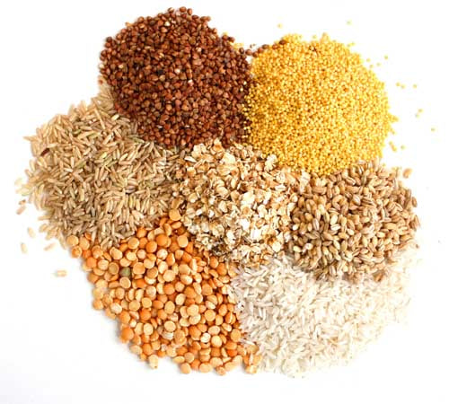 Selectia cerealelor pentru alimentatia pisicii si cainelui
