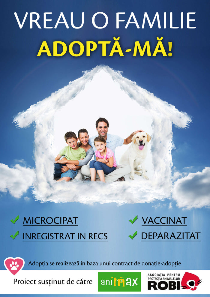 Adoptia unui catelus, mai usoara ca niciodata!