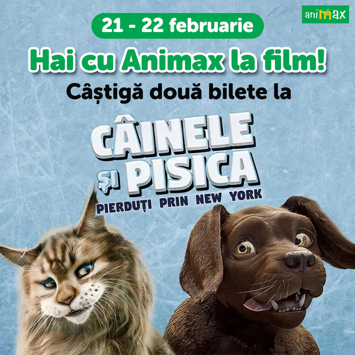 Regulamentul concursului “Hai cu Animax la film" - Perioada 21-22 februarie 2024