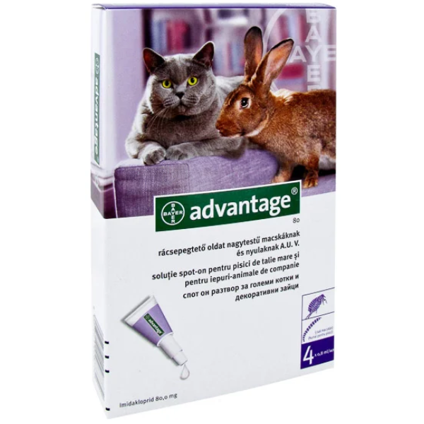 Advantage 80 >4kg