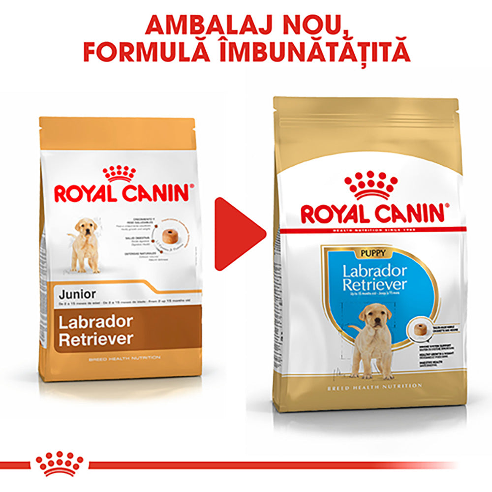 ROYAL CANIN BHN Labrador Retriever Puppy 12kg