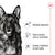 ROYAL CANIN SHN Maxi Adult 5+