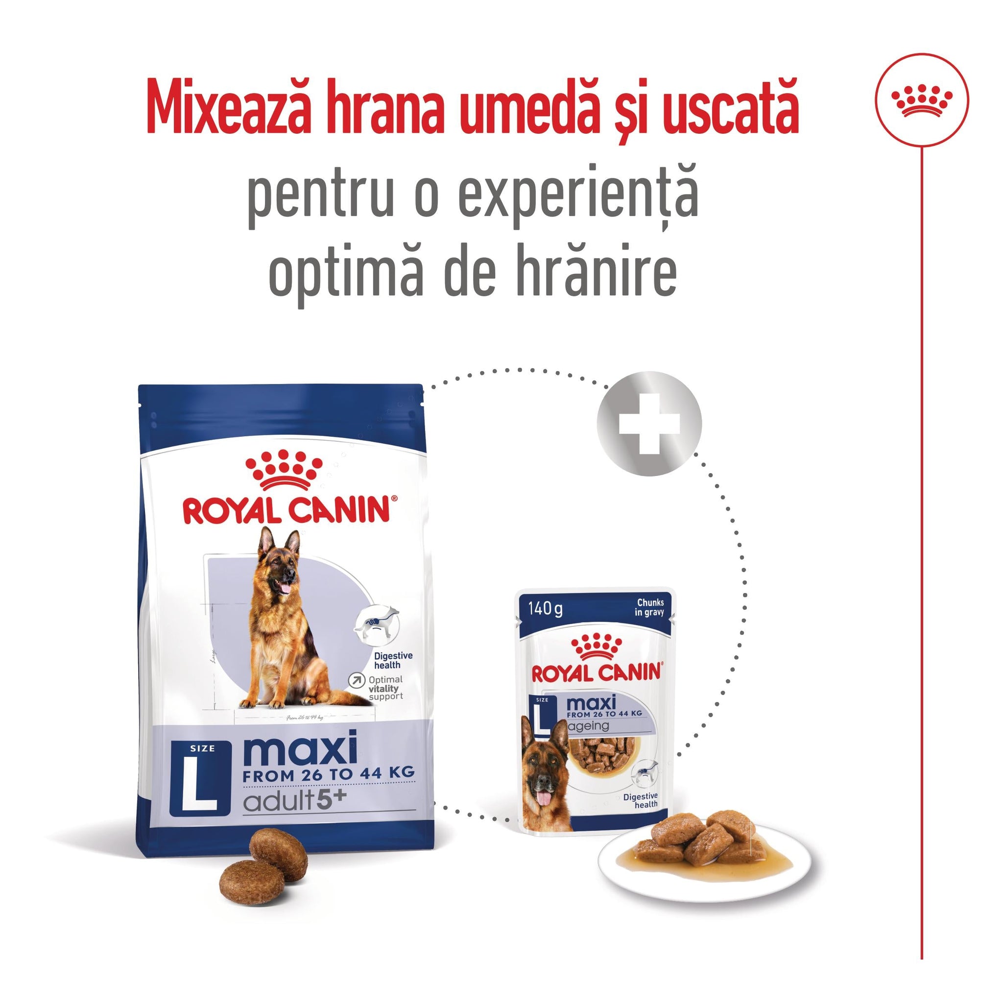 ROYAL CANIN SHN Maxi Adult 5+