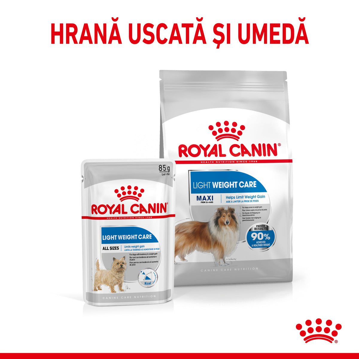 ROYAL CANIN CCN Maxi Light Weight Care 12kg