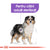ROYAL CANIN SHN Medium Sterilised Adult 12kg