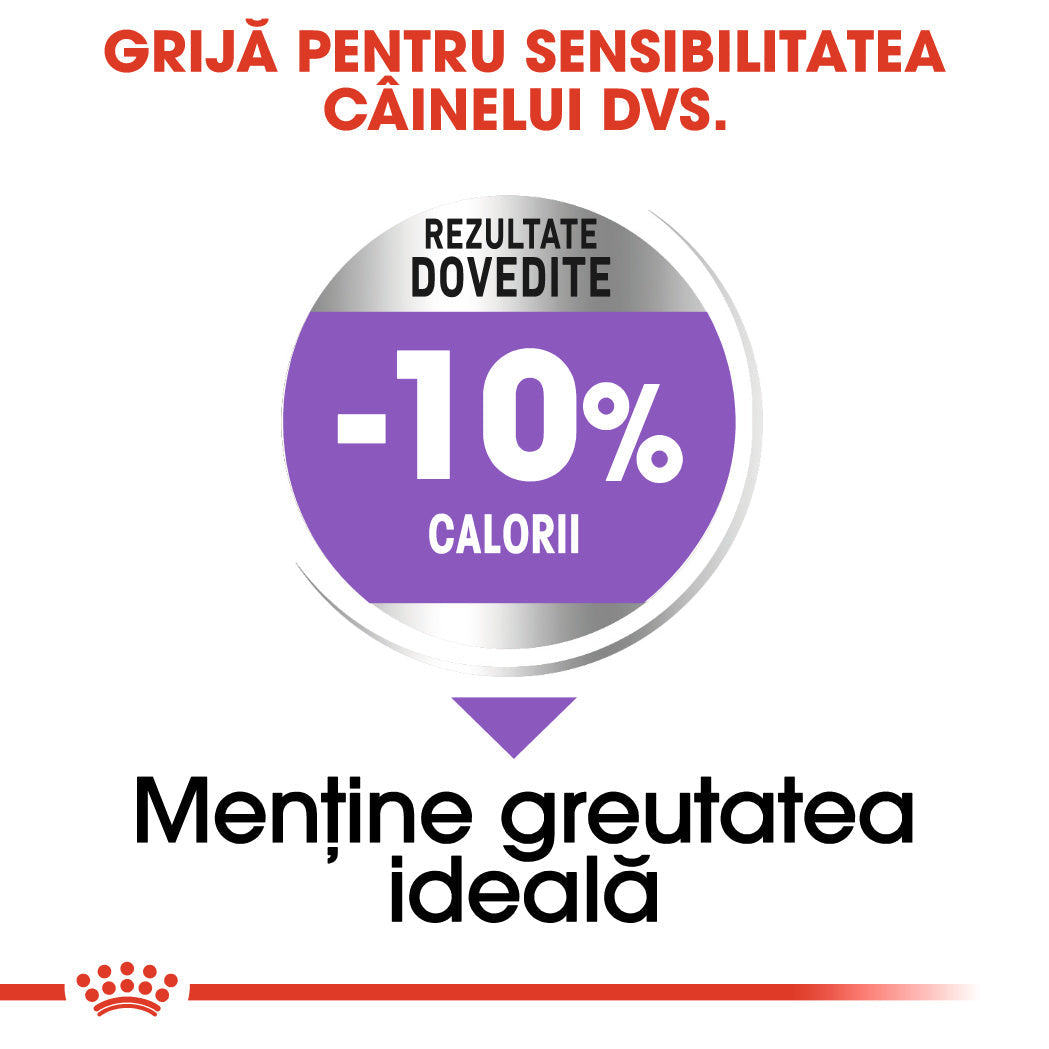 ROYAL CANIN SHN Medium Sterilised Adult 12kg