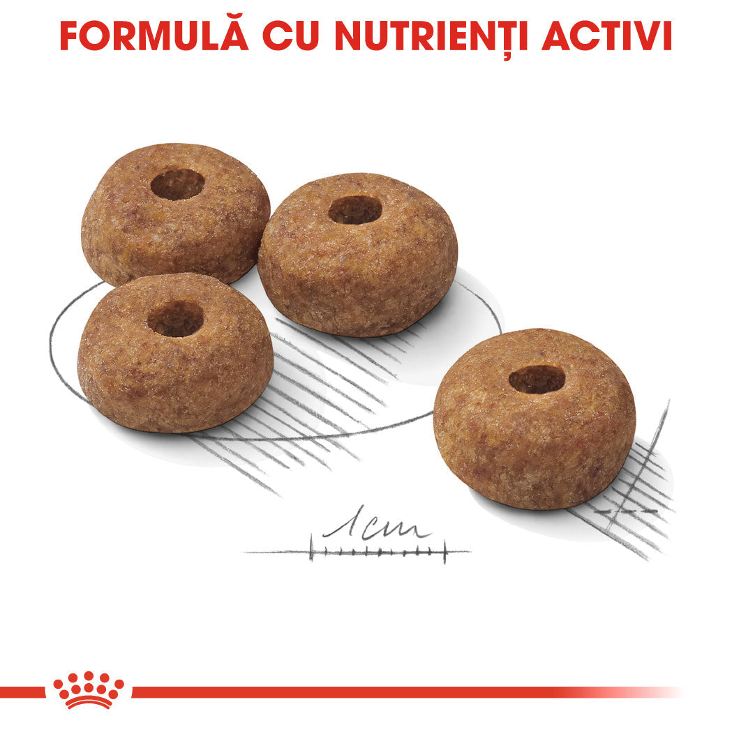 ROYAL CANIN SHN Medium Sterilised Adult 12kg