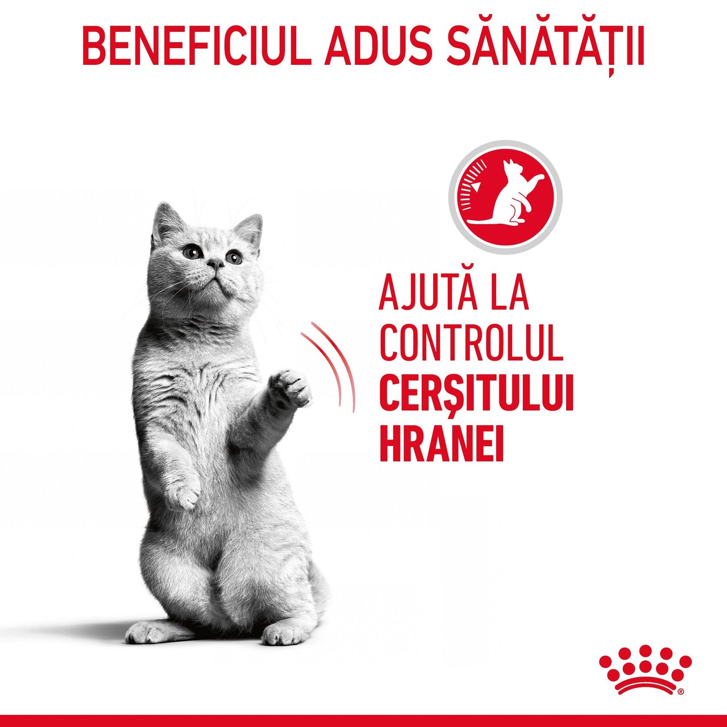ROYAL CANIN FCN Appetite Control Care Gravy Plic pentru pisici 85g