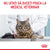 ROYAL CANIN FCN Appetite Control Care Gravy Plic pentru pisici 85g