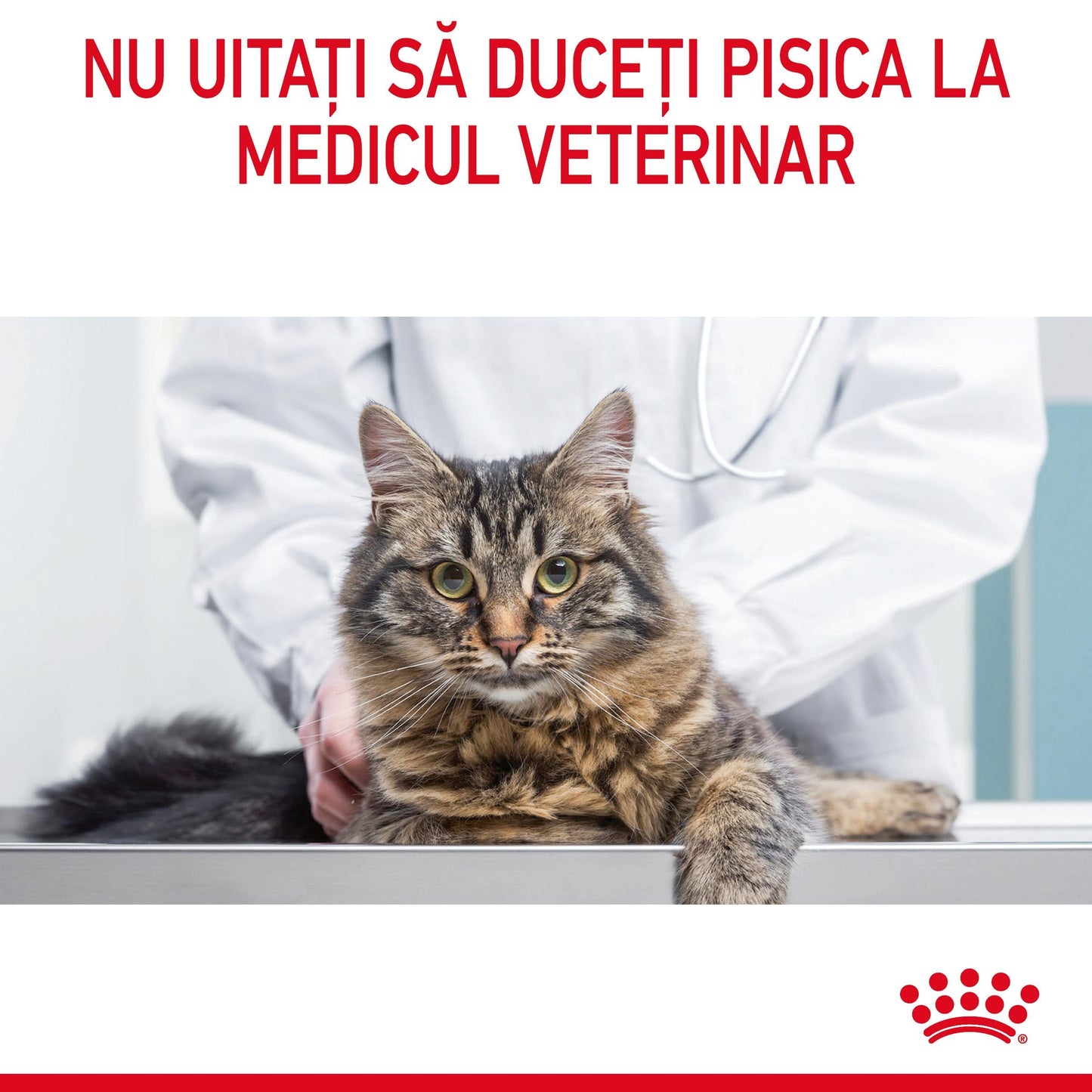 ROYAL CANIN FCN Appetite Control Care Gravy Plic pentru pisici 85g