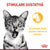 ROYAL CANIN FHN Sensory Taste în Sos Plic pentru pisici 85g