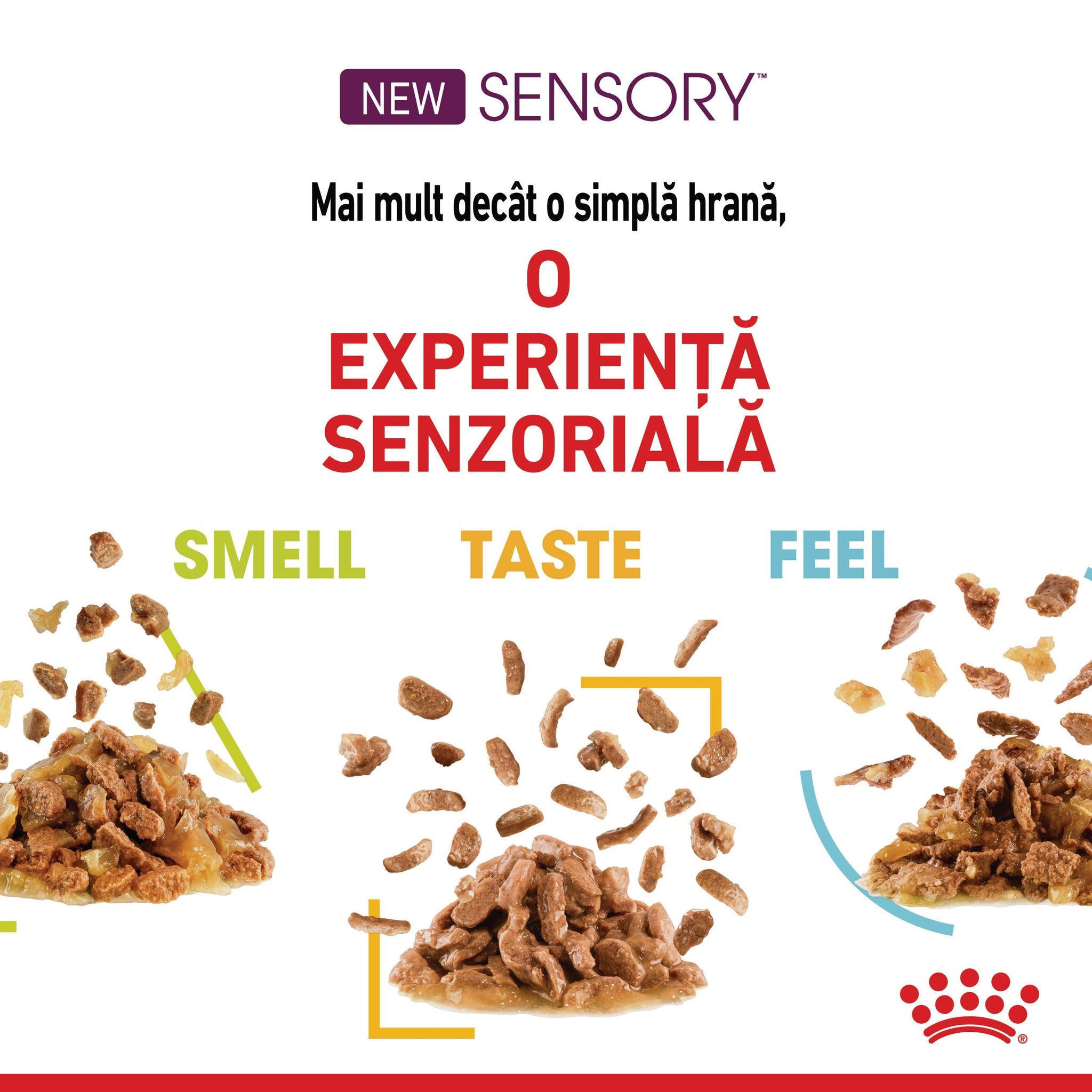ROYAL CANIN FHN Sensory Taste în Sos Plic pentru pisici 85g