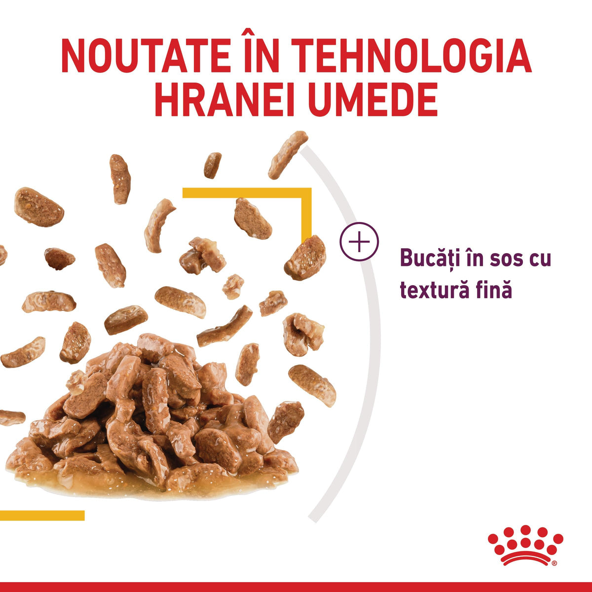 ROYAL CANIN FHN Sensory Taste în Sos Plic pentru pisici 85g