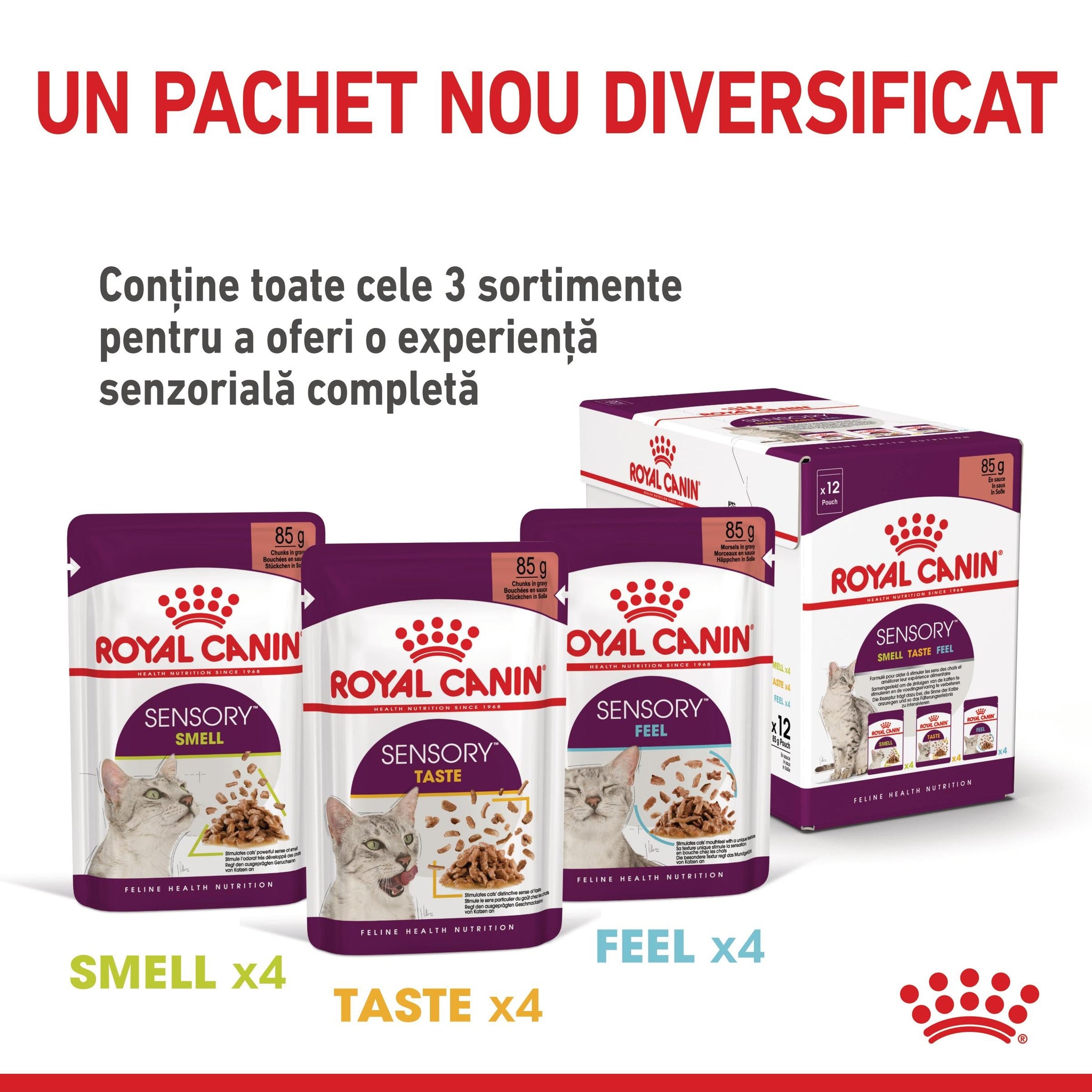 ROYAL CANIN FHN Sensory Taste în Sos Plic pentru pisici 85g