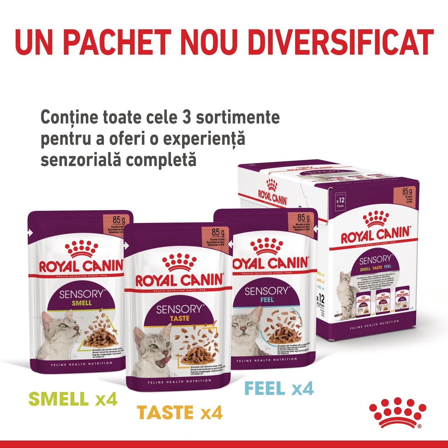 ROYAL CANIN FHN Sensory Taste în Sos Plic pentru pisici 85g