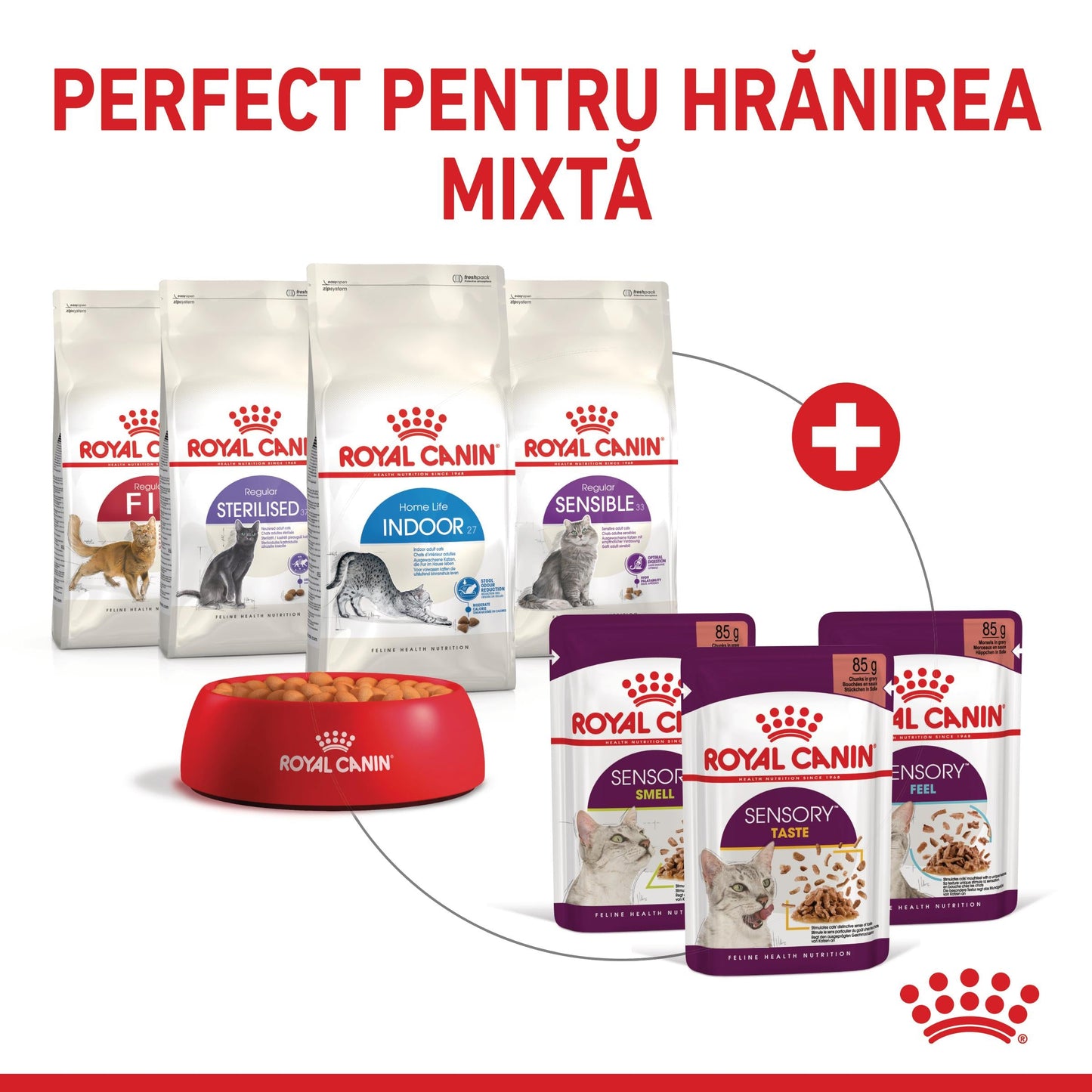 ROYAL CANIN FHN Sensory Taste în Sos Plic pentru pisici 85g
