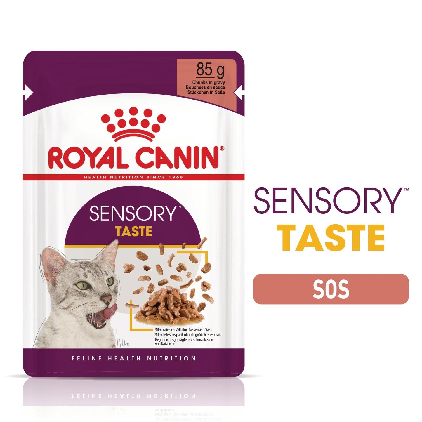 ROYAL CANIN FHN Sensory Taste în Sos Plic pentru pisici 85g