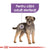 ROYAL CANIN CCN Sterilised Loaf Plic hrana umeda pentru caini 85g