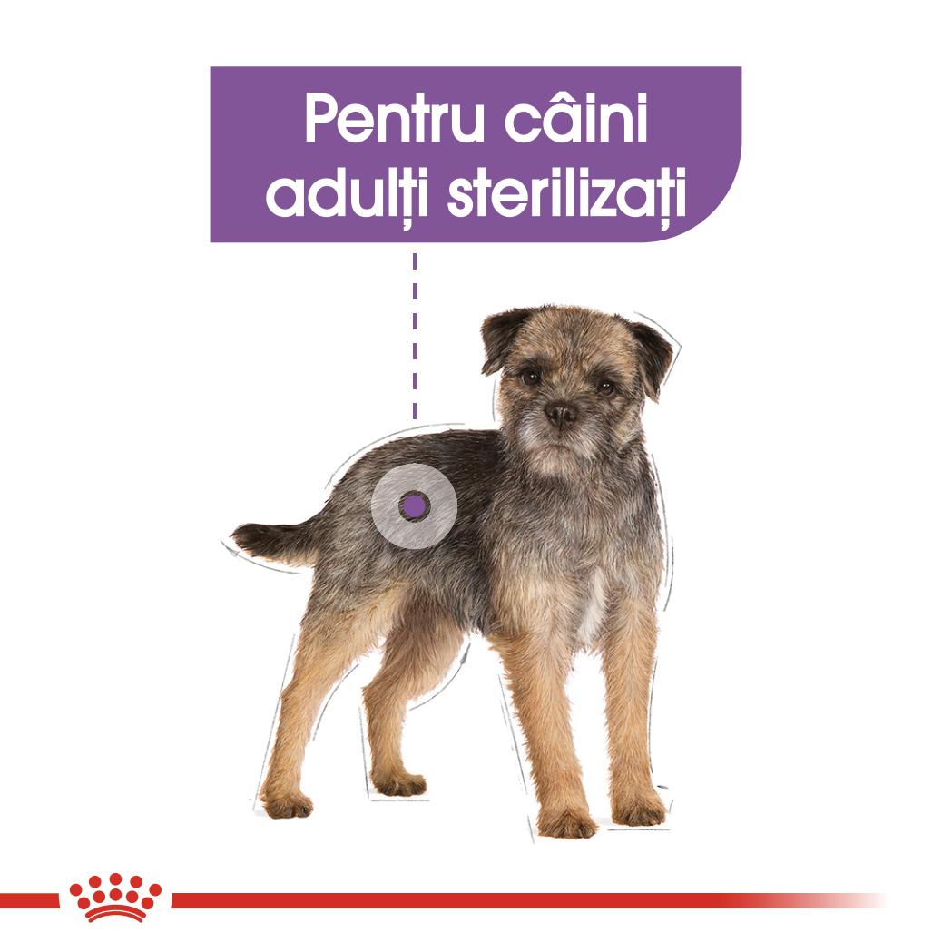 ROYAL CANIN CCN Sterilised Loaf Plic hrana umeda pentru caini 85g