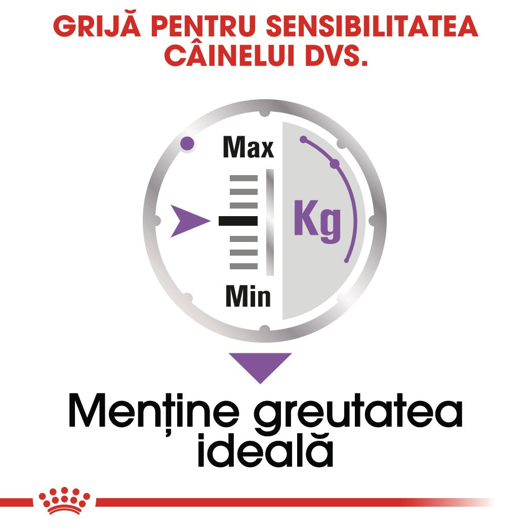 ROYAL CANIN CCN Sterilised Loaf Plic hrana umeda pentru caini 85g