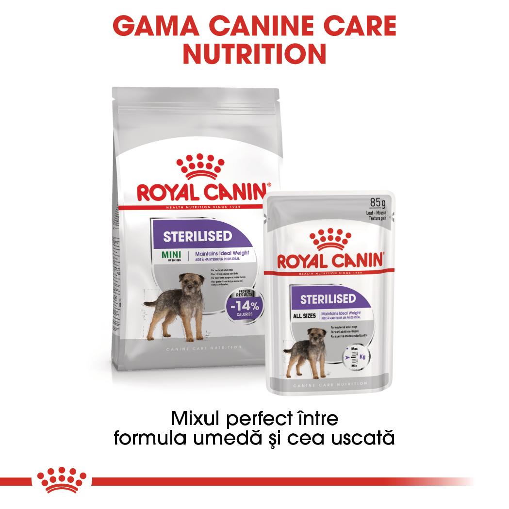 ROYAL CANIN CCN Sterilised Loaf Plic hrana umeda pentru caini 85g