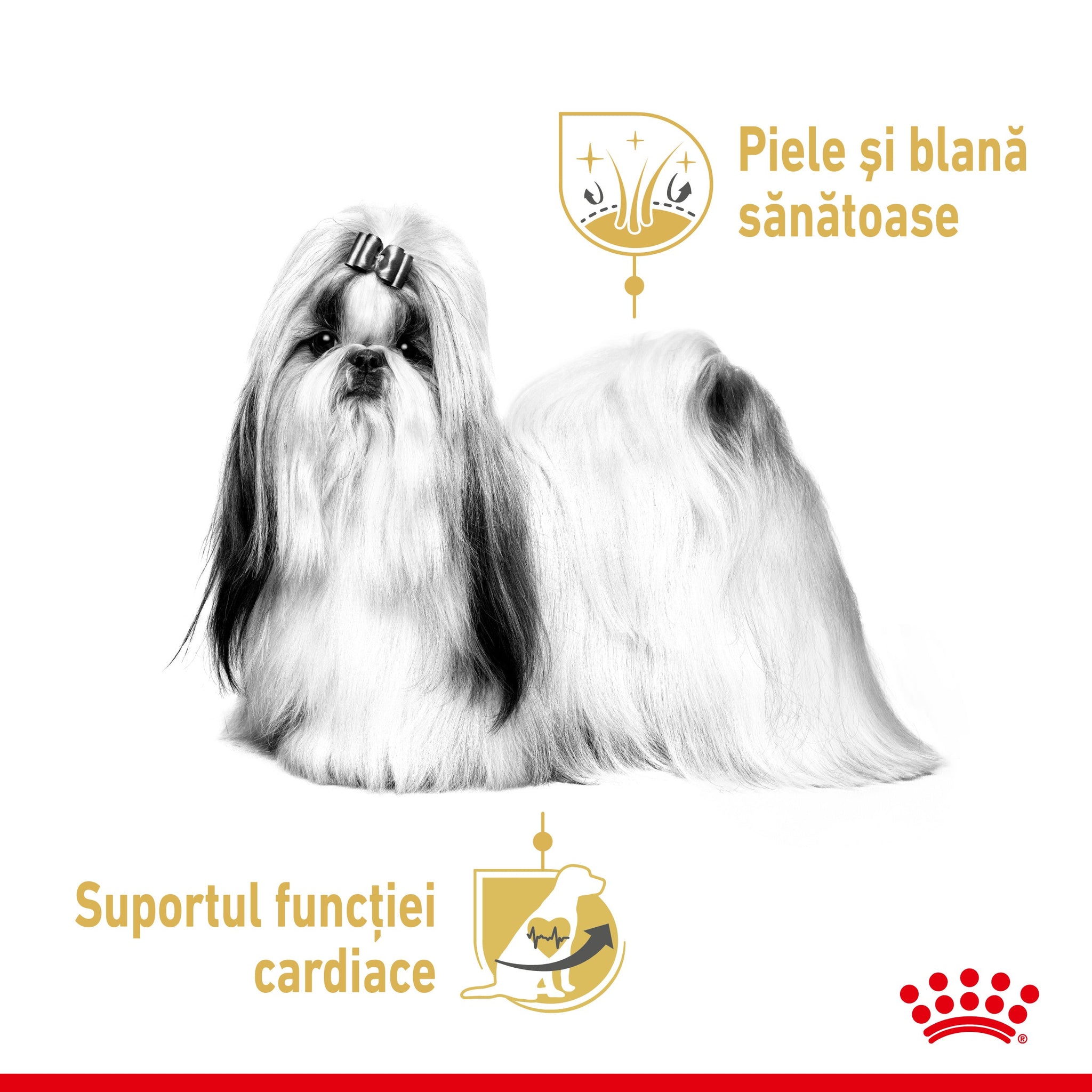 ROYAL CANIN BHN Shih Tzu Loaf Plic hrana umeda pentru caini 85g
