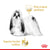 ROYAL CANIN BHN Shih Tzu Loaf Plic hrana umeda pentru caini 85g