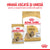 ROYAL CANIN BHN Shih Tzu Loaf Plic hrana umeda pentru caini 85g