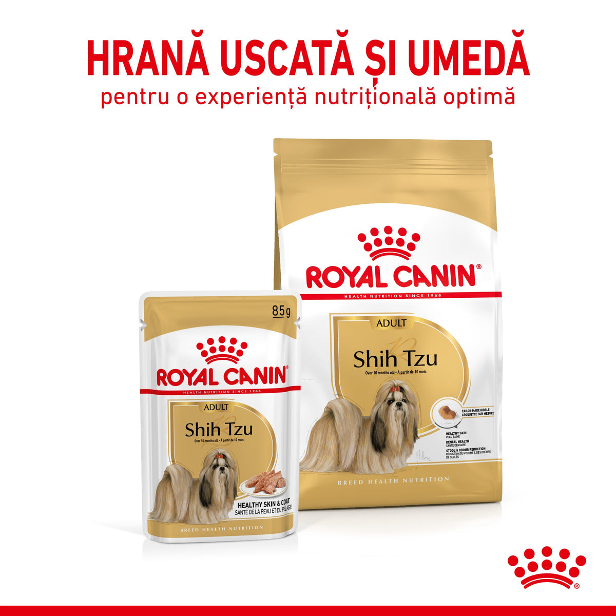 ROYAL CANIN BHN Shih Tzu Loaf Plic hrana umeda pentru caini 85g