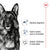 ROYAL CANIN SHN Maxi Adult
