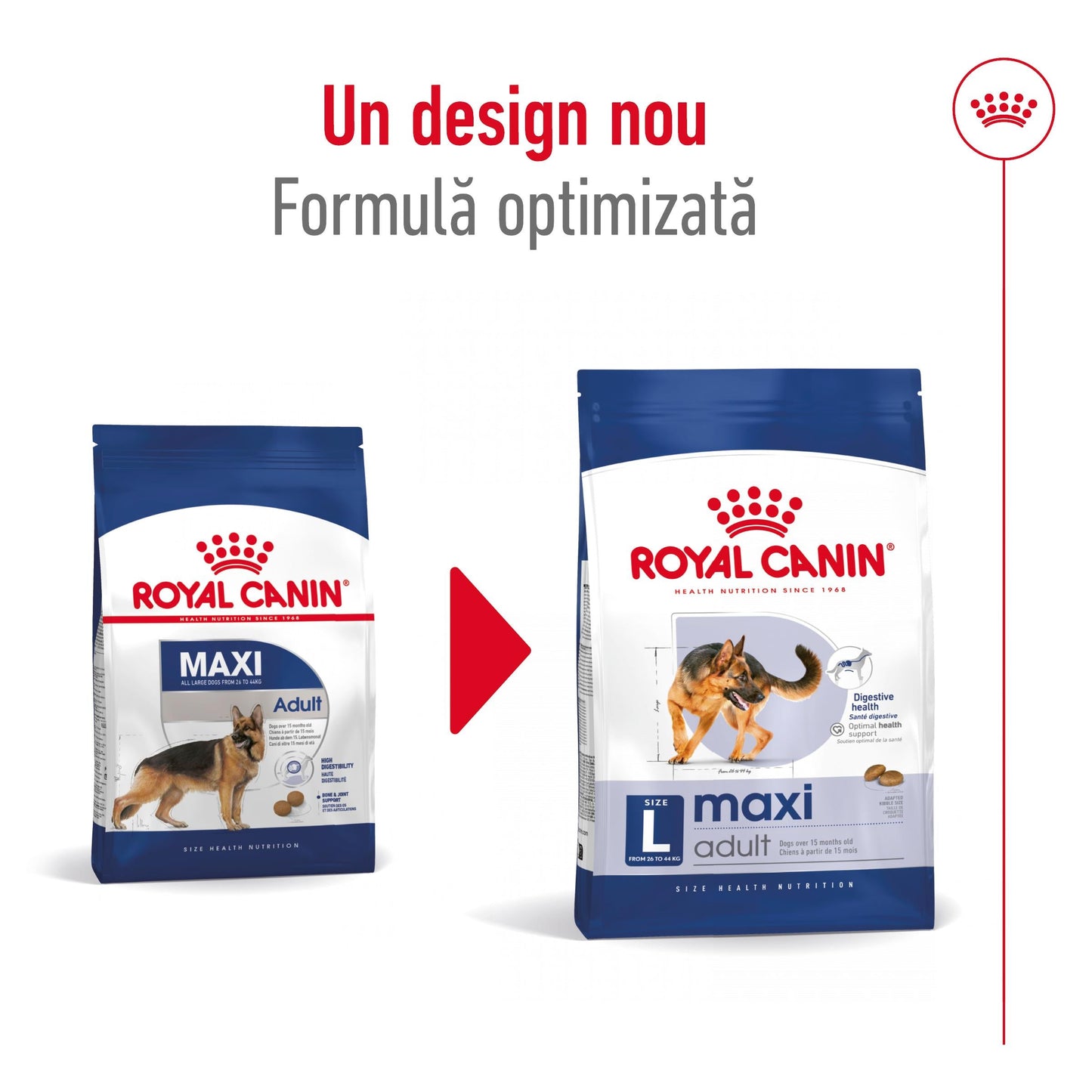 ROYAL CANIN SHN Maxi Adult