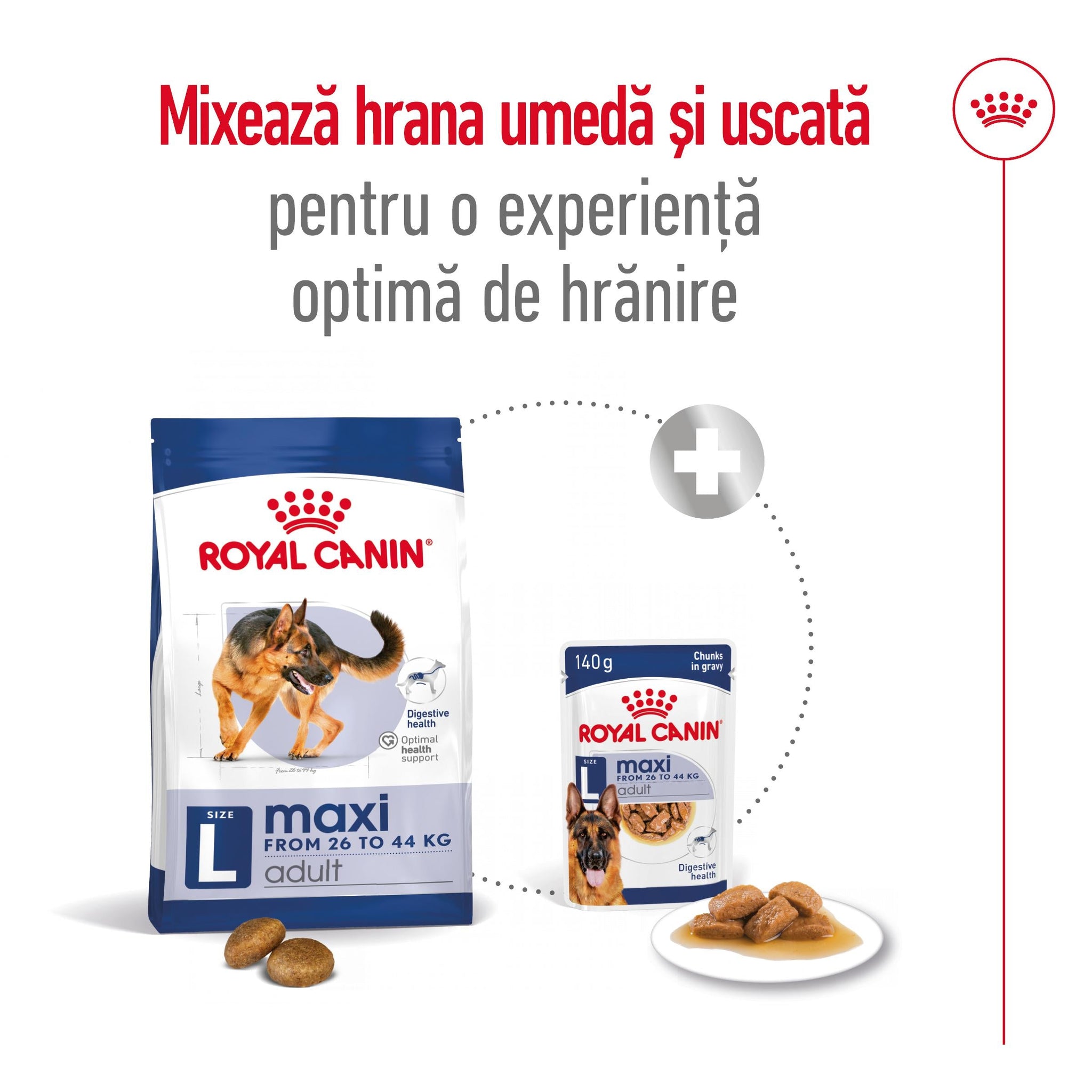 ROYAL CANIN SHN Maxi Adult