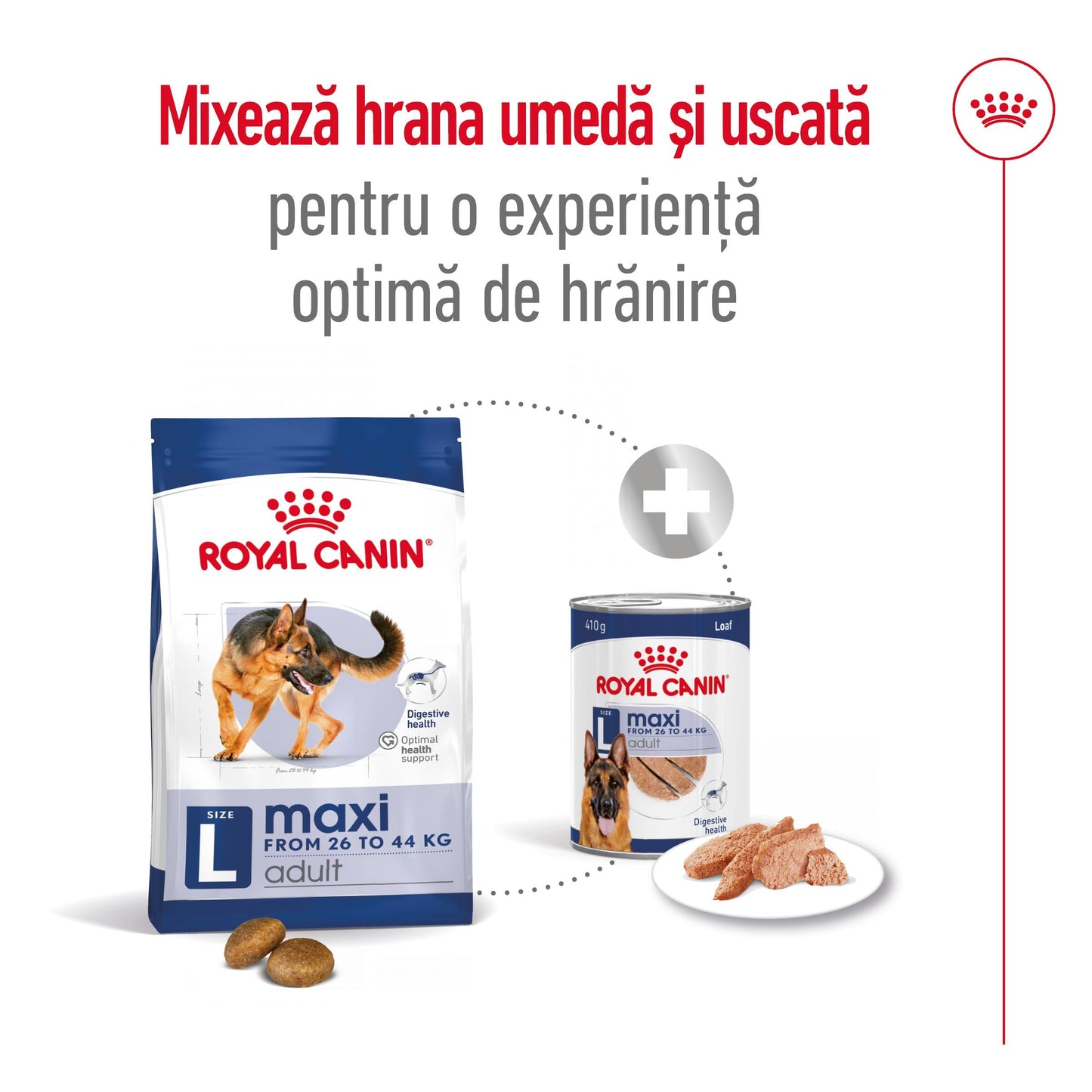 ROYAL CANIN SHN Maxi Adult