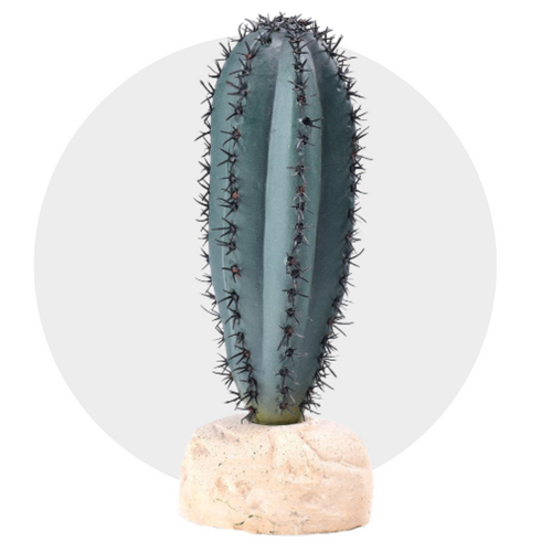 Decoruri