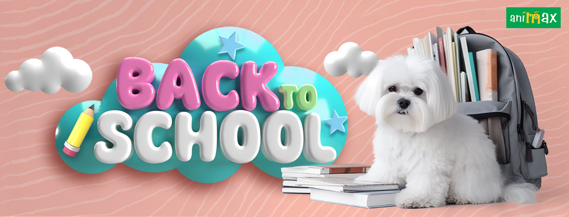 Back to school