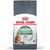 Hrana uscata pentru pisici Royal Canin Digestive Care 10 kg - Animax