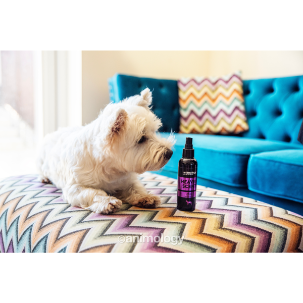Spray parfumant pentru caini Animology Heaven 150ml - Animax