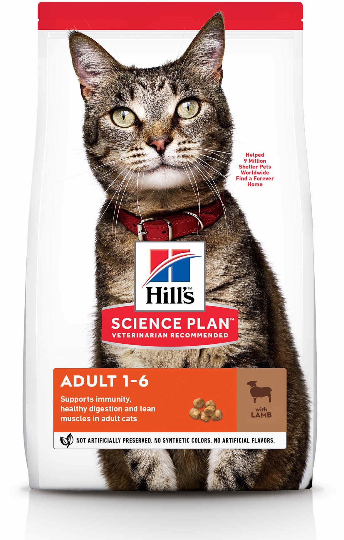 HILL's SP Feline Adult, cu Miel