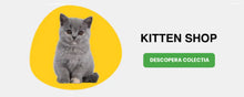 KITTEN SHOP
