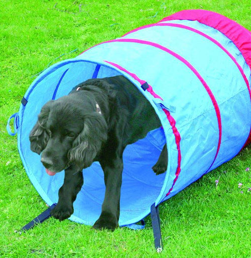 PAWISE Agility Tunel din material textil pentru caini, 5m
