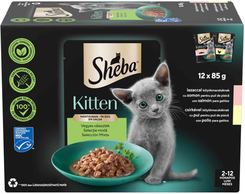 SHEBA KITTEN Plic hrana umeda pentru pisicute, cu Somon si Pui in sos 12x85g