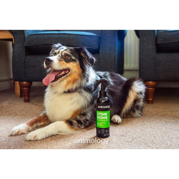 Spray pentru caini Animology Stink Bomb 250ml - Animax