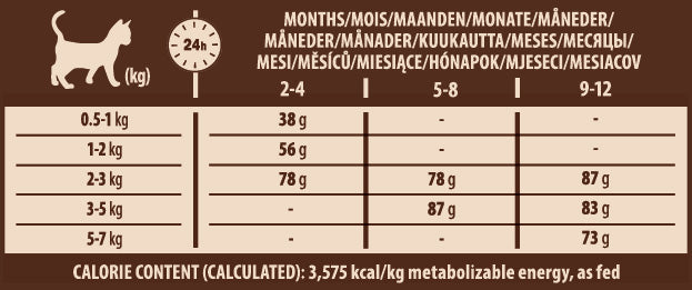 Hrana uscata pentru pisici Wellness Core Kitten Dry cu curcan si somon 300g - Animax