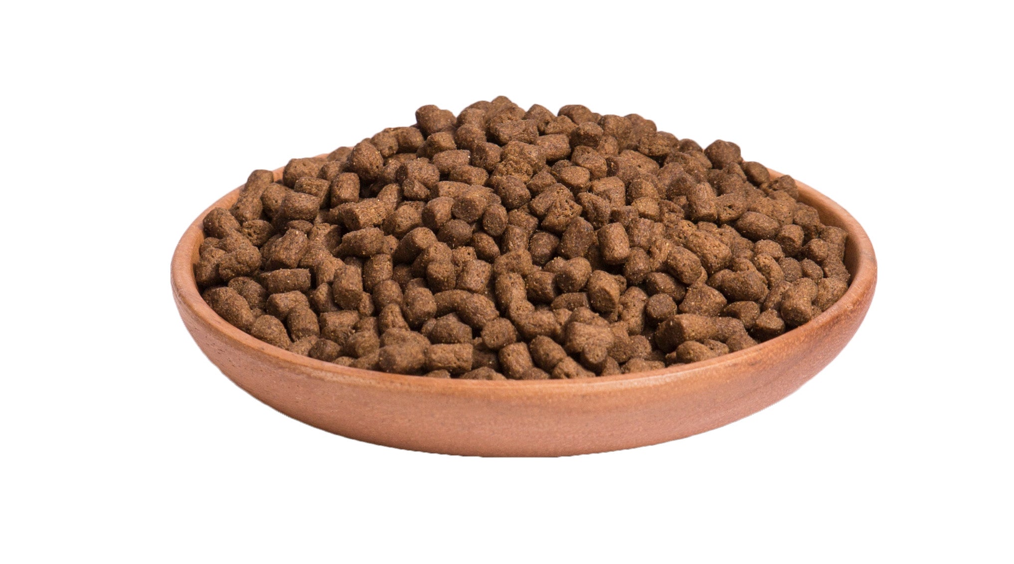 Hrana uscata pentru pisici Wellness Core Kitten Dry cu curcan si somon 300g - Animax